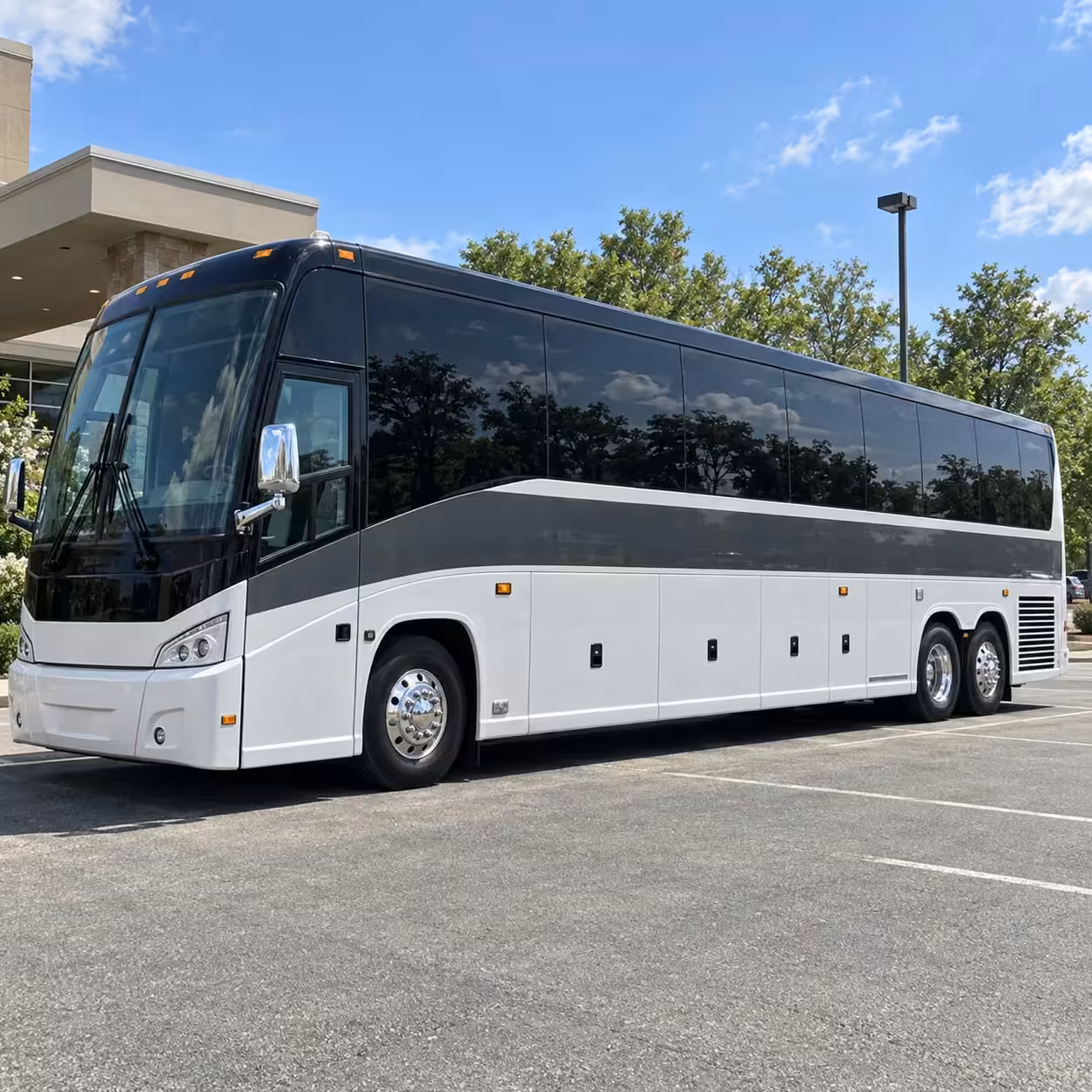 jacksonville bus rentals for nature and ecology field trips